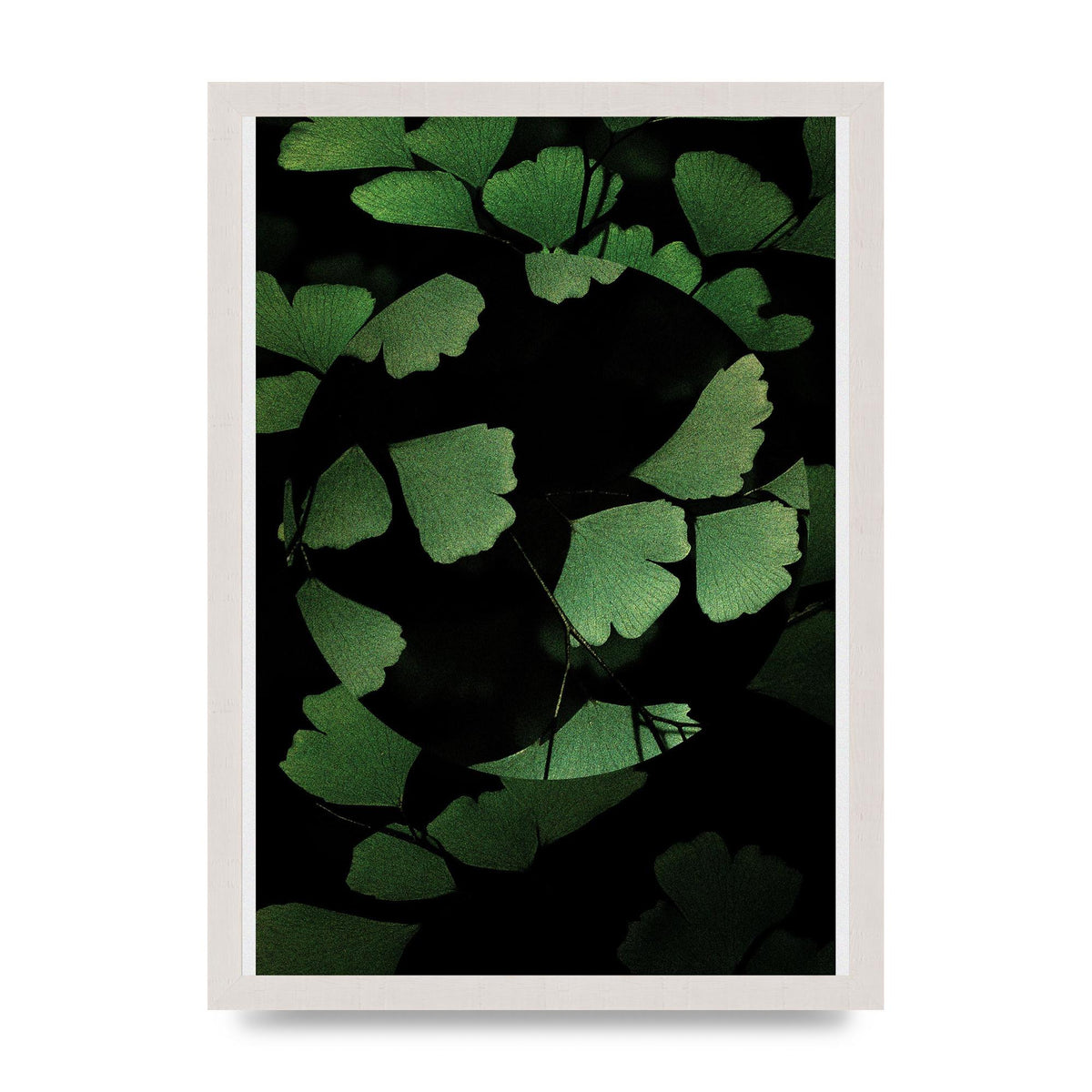 Leaf Disc Wall Art - A3 framed