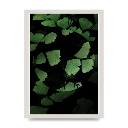 Leaf Disc Wall Art - A3 framed