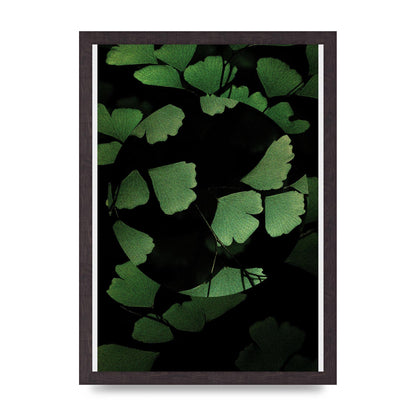 Leaf Disc Wall Art - A3 framed