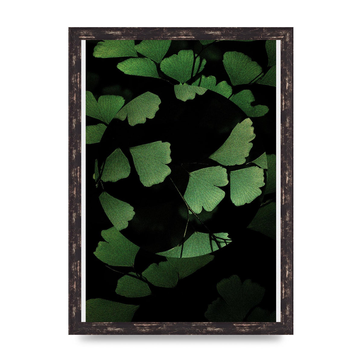 Leaf Disc Wall Art - A3 framed