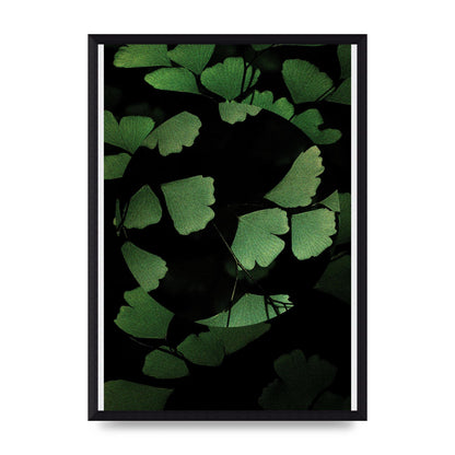 Leaf Disc Wall Art - A3 framed