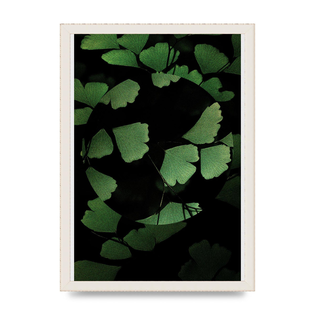 Leaf Disc Wall Art - A3 framed