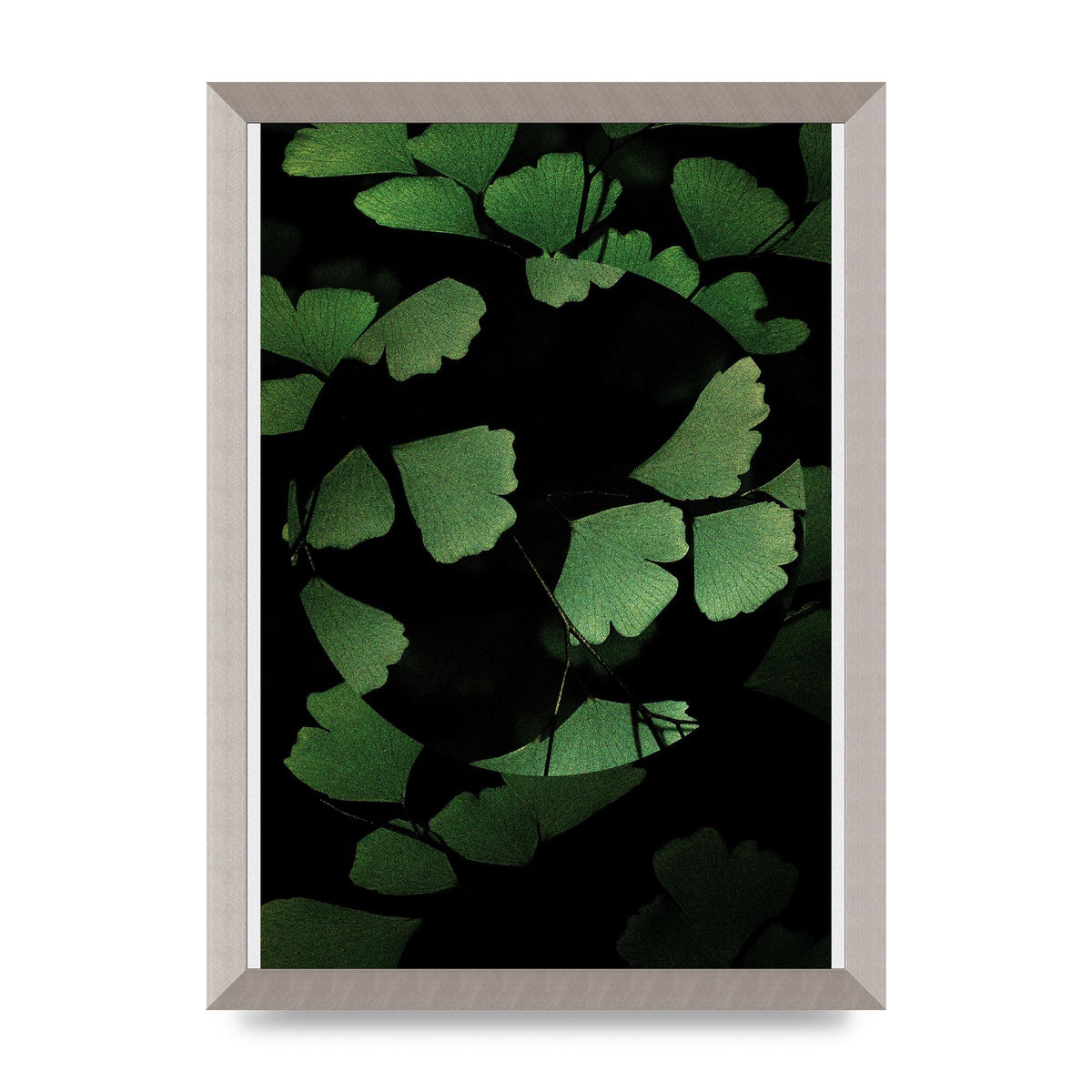 Leaf Disc Wall Art - A3 framed