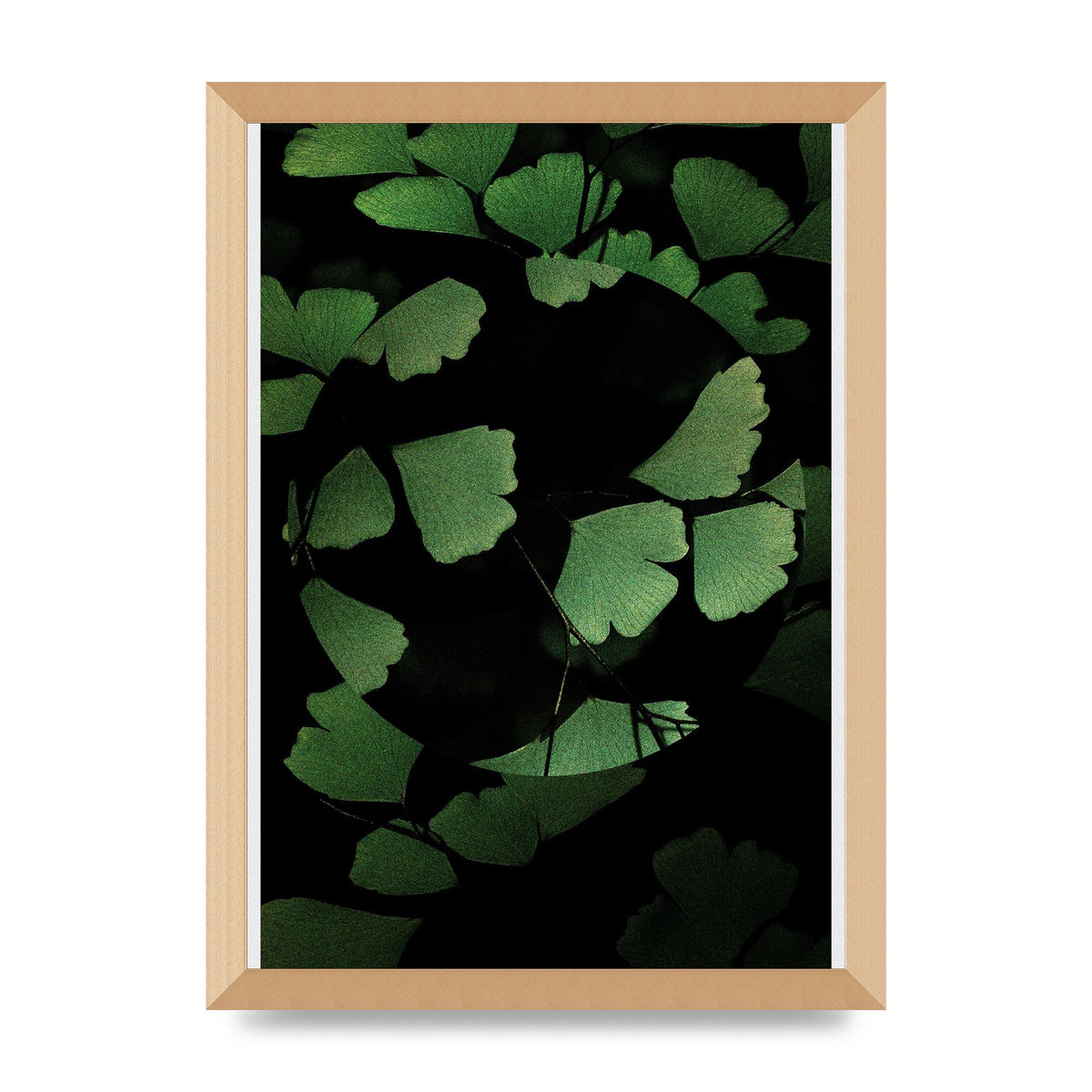 Leaf Disc Wall Art - A3 framed