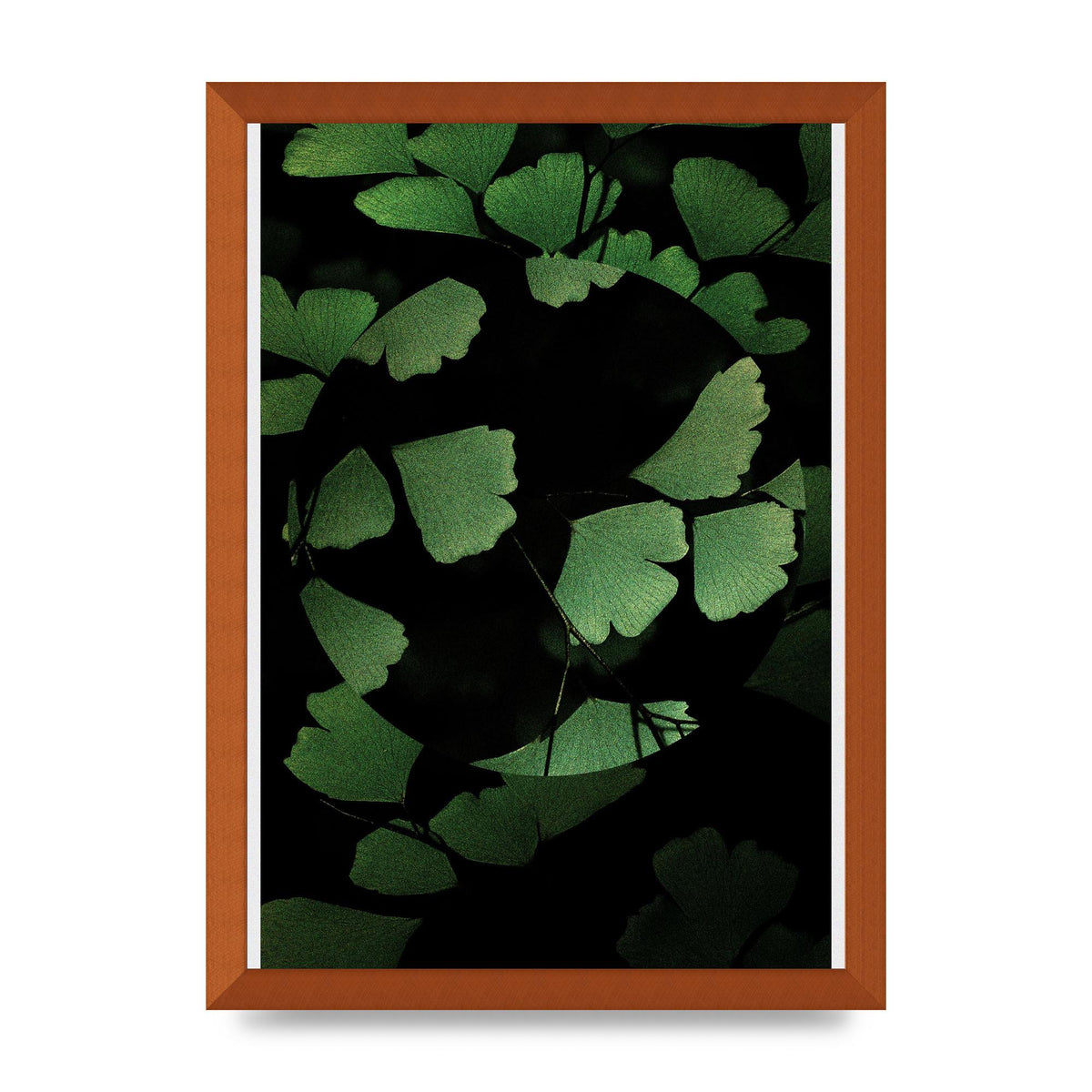 Leaf Disc Wall Art - A3 framed