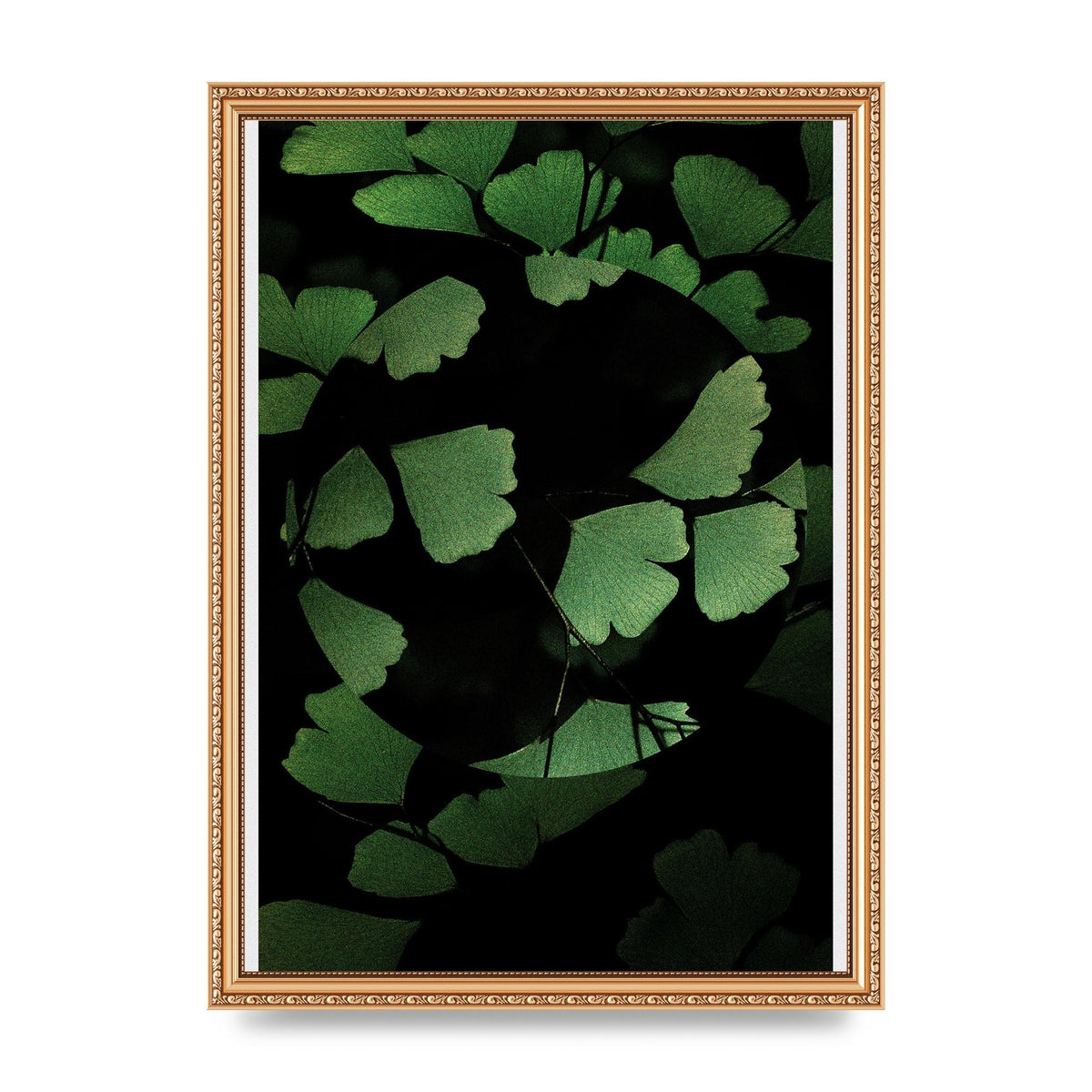 Leaf Disc Wall Art - A3 framed