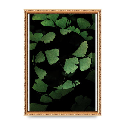 Leaf Disc Wall Art - A3 framed