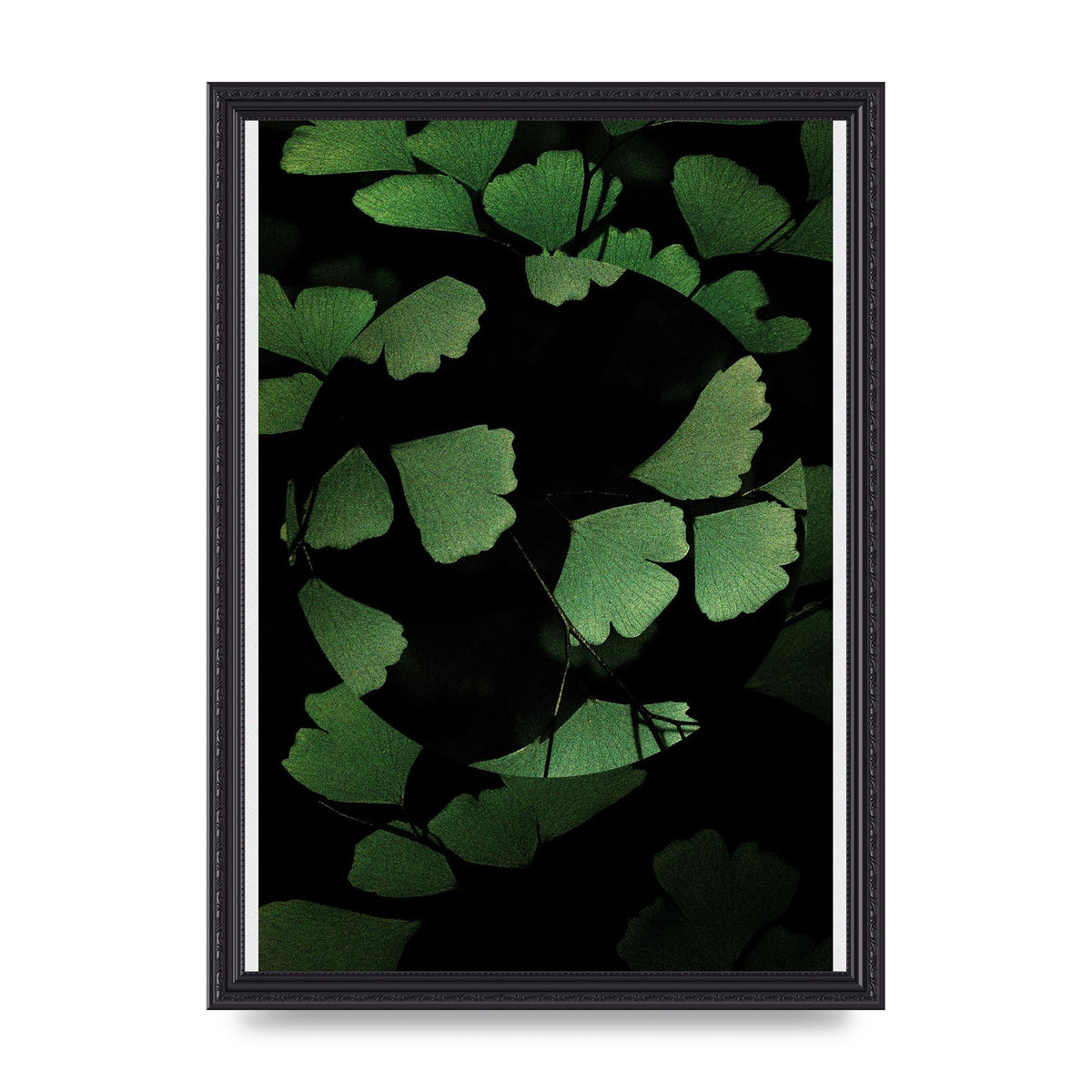 Leaf Disc Wall Art - A3 framed