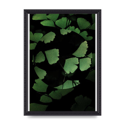 Leaf Disc Wall Art - A3 framed