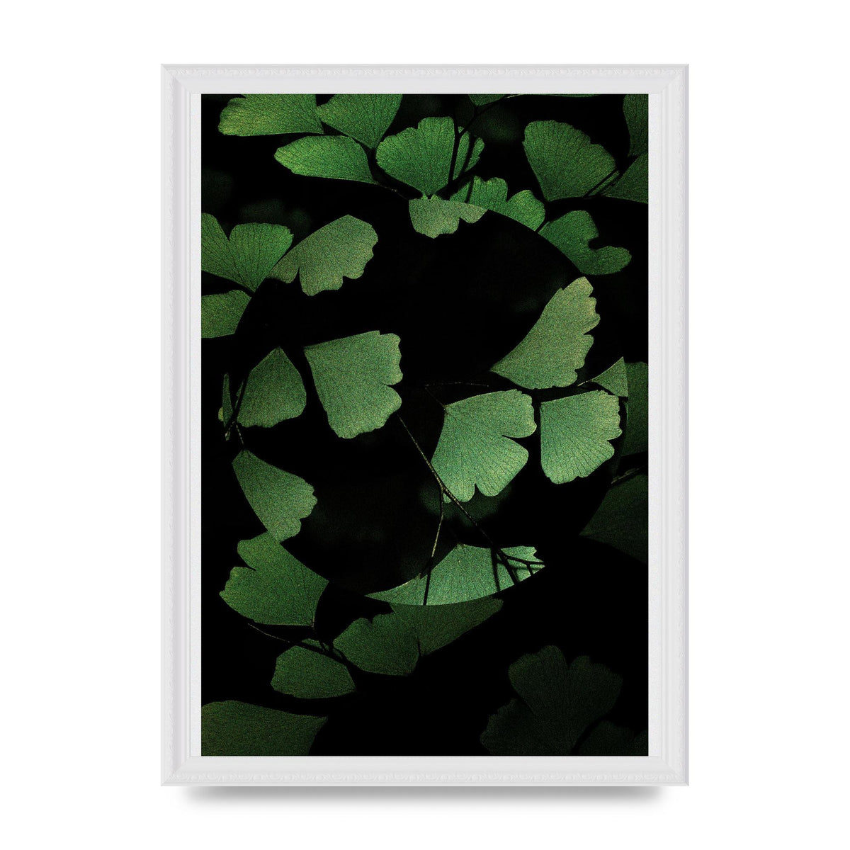 Leaf Disc Wall Art - A3 framed