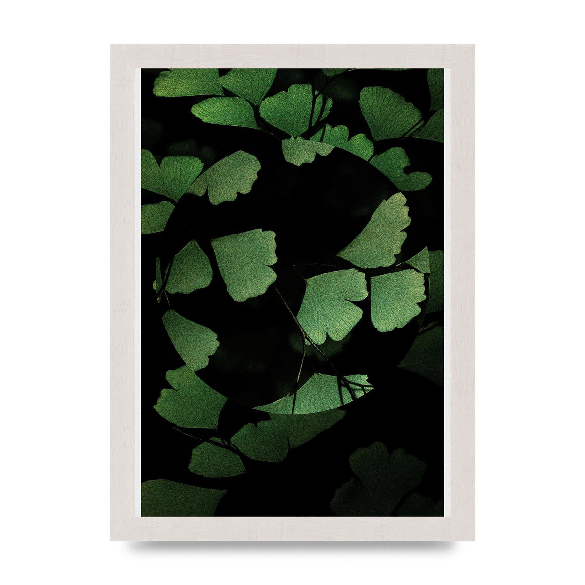 Leaf Disc Wall Art - A4 framed