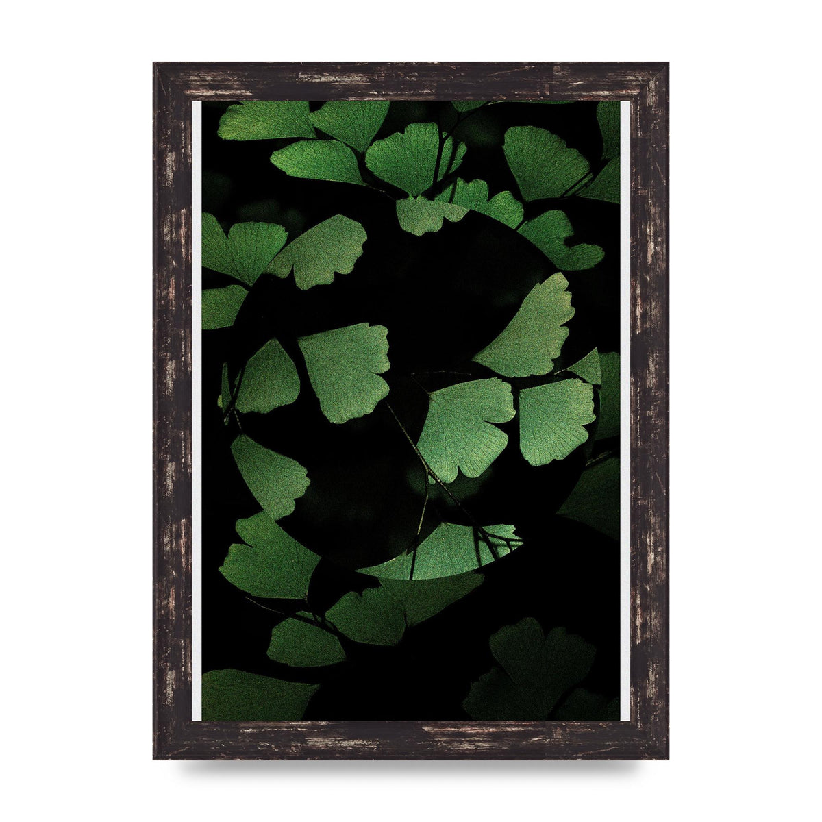 Leaf Disc Wall Art - A4 framed