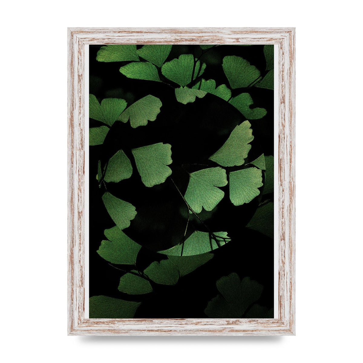 Leaf Disc Wall Art - A4 framed