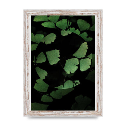 Leaf Disc Wall Art - A4 framed