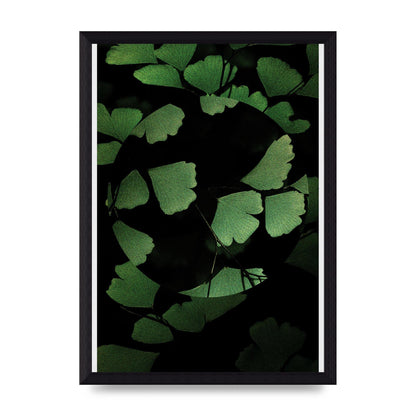Leaf Disc Wall Art - A4 framed