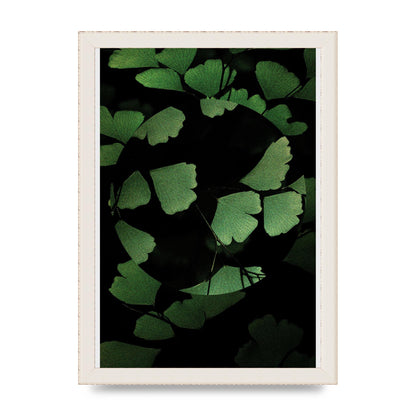 Leaf Disc Wall Art - A4 framed