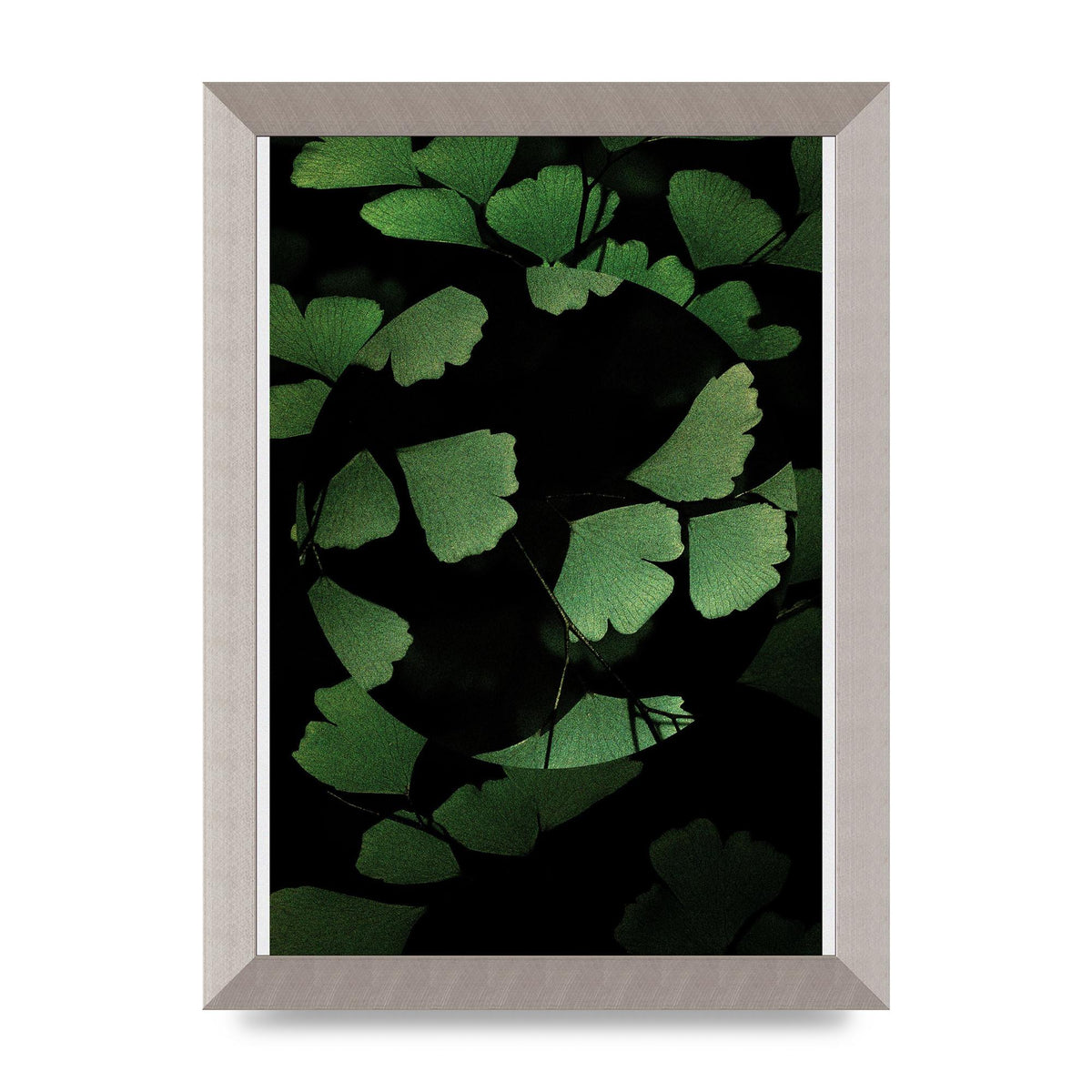 Leaf Disc Wall Art - A4 framed