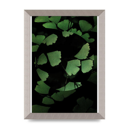 Leaf Disc Wall Art - A4 framed