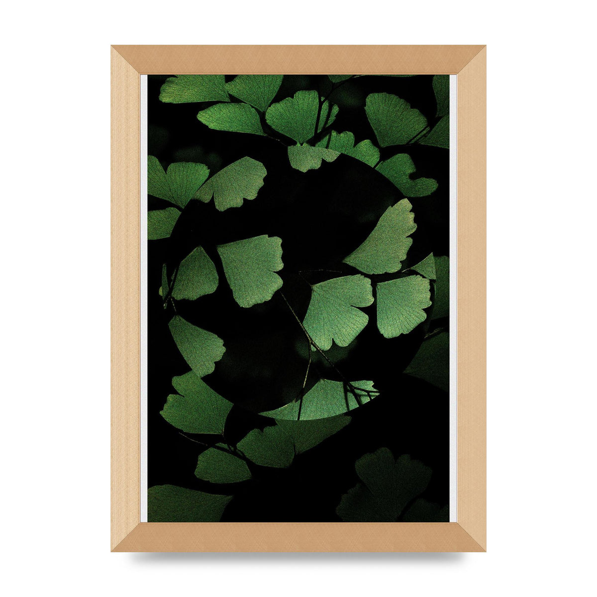 Leaf Disc Wall Art - A4 framed