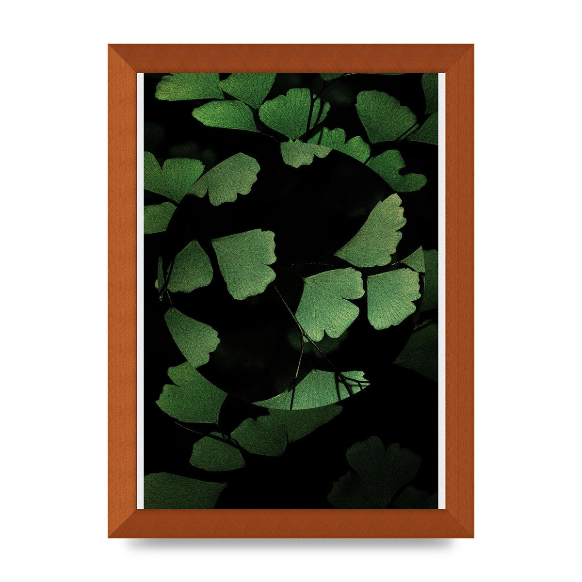Leaf Disc Wall Art - A4 framed