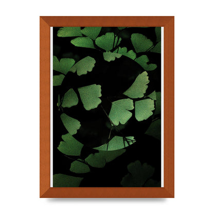 Leaf Disc Wall Art - A4 framed