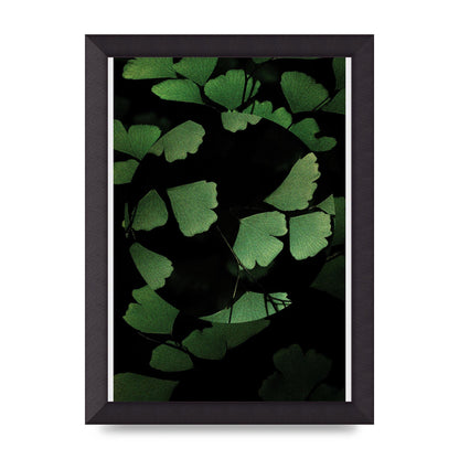 Leaf Disc Wall Art - A4 framed