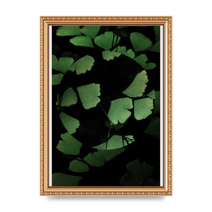 Leaf Disc Wall Art - A4 framed