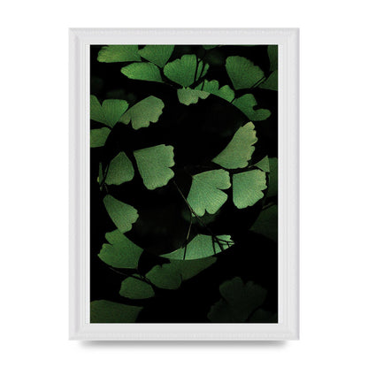 Leaf Disc Wall Art - A4 framed