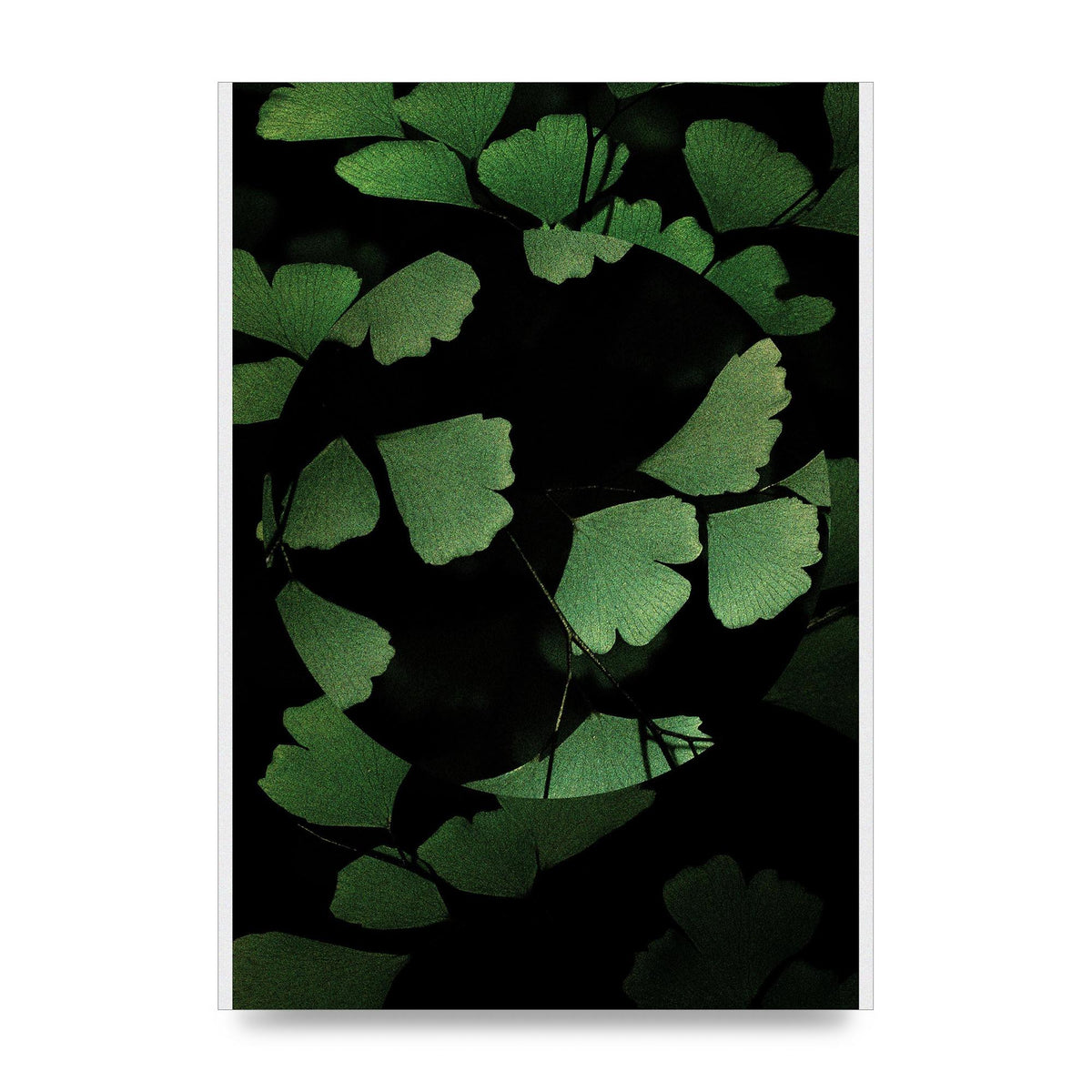 Leaf Disc Wall Art - unframed print