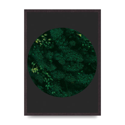 Black Back Green Plant Disc Series One Art For The Home - A2 framed
