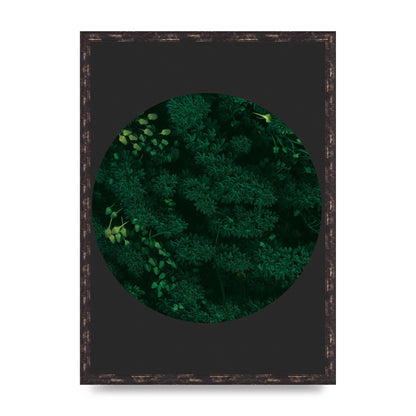 Black Back Green Plant Disc Series One Art For The Home - A2 framed