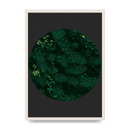 Black Back Green Plant Disc Series One Art For The Home - A2 framed