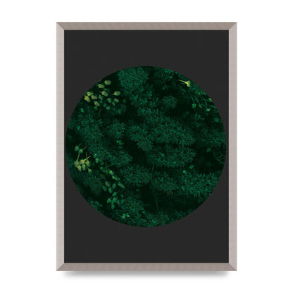 Black Back Green Plant Disc Series One Art For The Home - A2 framed