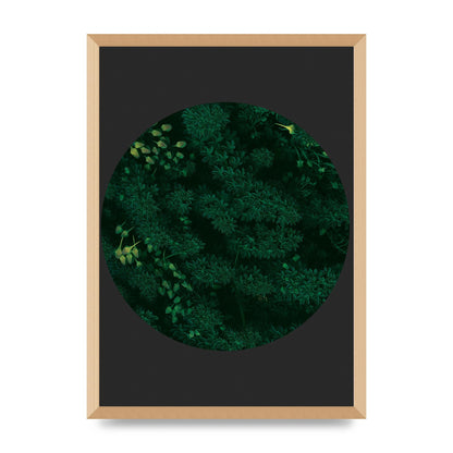 Black Back Green Plant Disc Series One Art For The Home - A2 framed