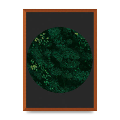 Black Back Green Plant Disc Series One Art For The Home - A2 framed
