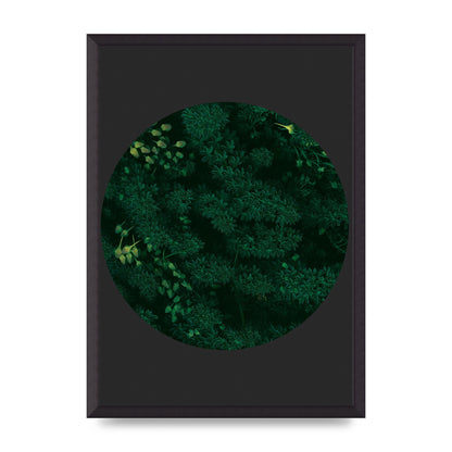 Black Back Green Plant Disc Series One Art For The Home - A2 framed