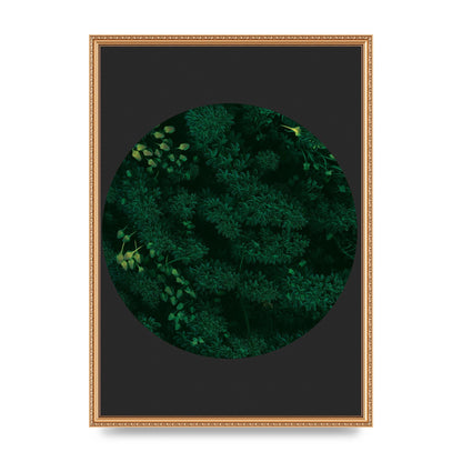 Black Back Green Plant Disc Series One Art For The Home - A2 framed