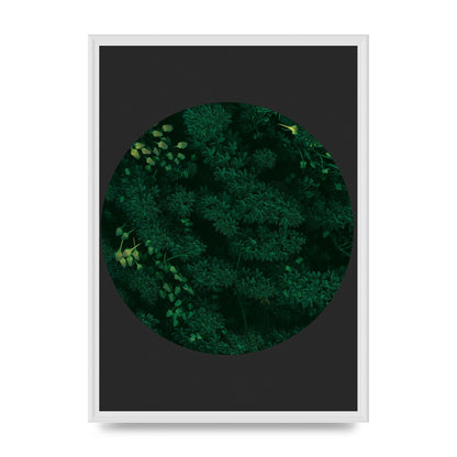 Black Back Green Plant Disc Series One Art For The Home - A2 framed