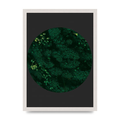 Black Back Green Plant Disc Series One Art For The Home - A3 framed
