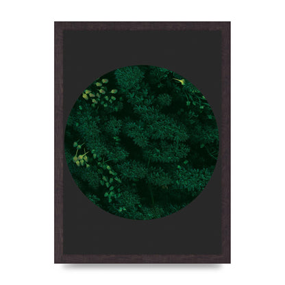 Black Back Green Plant Disc Series One Art For The Home - A3 framed