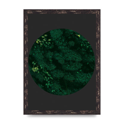 Black Back Green Plant Disc Series One Art For The Home - A3 framed