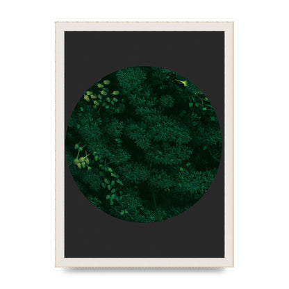 Black Back Green Plant Disc Series One Art For The Home - A3 framed