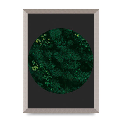 Black Back Green Plant Disc Series One Art For The Home - A3 framed