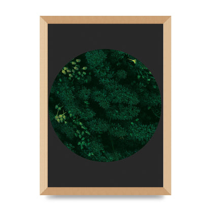 Black Back Green Plant Disc Series One Art For The Home - A3 framed