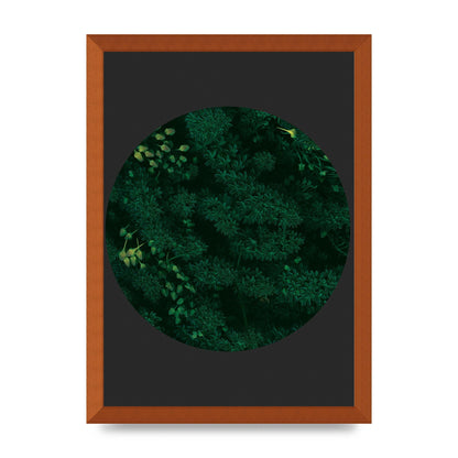 Black Back Green Plant Disc Series One Art For The Home - A3 framed