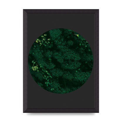 Black Back Green Plant Disc Series One Art For The Home - A3 framed