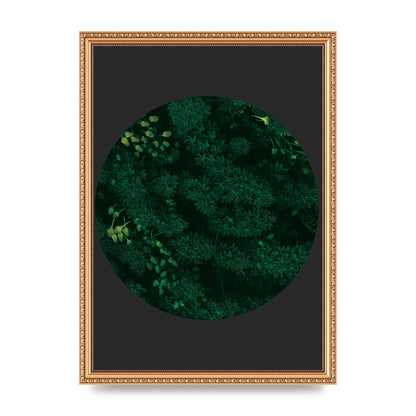 Black Back Green Plant Disc Series One Art For The Home - A3 framed