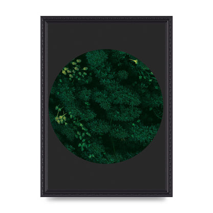 Black Back Green Plant Disc Series One Art For The Home - A3 framed