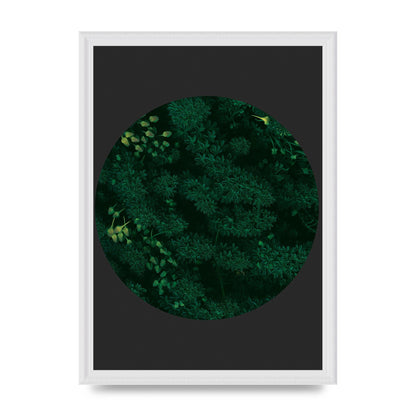 Black Back Green Plant Disc Series One Art For The Home - A3 framed