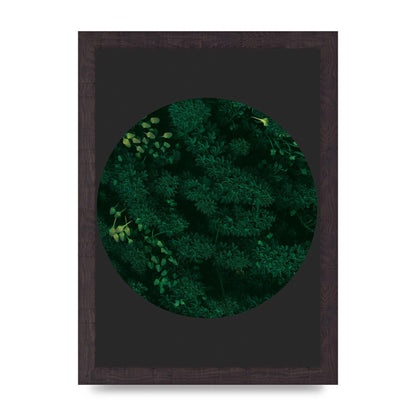 Black Back Green Plant Disc Series One Art For The Home - A4 framed